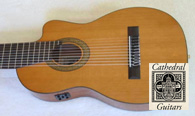 Multi String Guitars