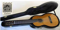 Multi String Guitars