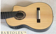 Multi String Guitars