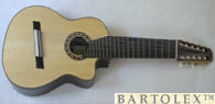 Multi String Guitars