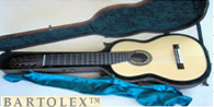 Multi String Guitars