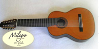 Multi String Guitars