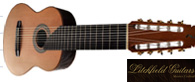 Multi String Guitars