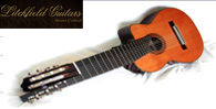 Multi String Guitars