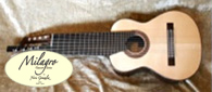 Multi String Guitars
