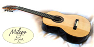 Multi String Guitars