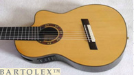 Multi String Guitars