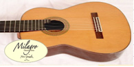 Multi String Guitars