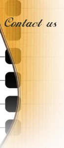 Multi String Guitars