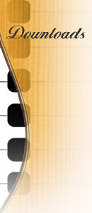 Multi String Guitars