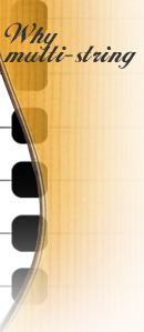 Multi String Guitars