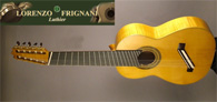 Multi String Guitars