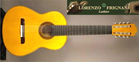 Multi String Guitars