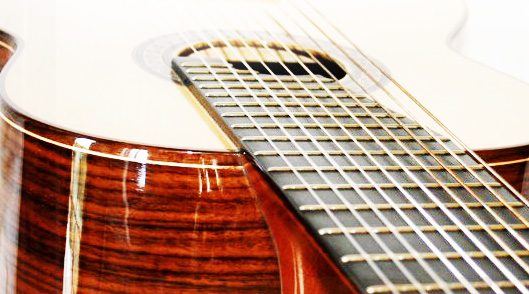 Multi String Guitars